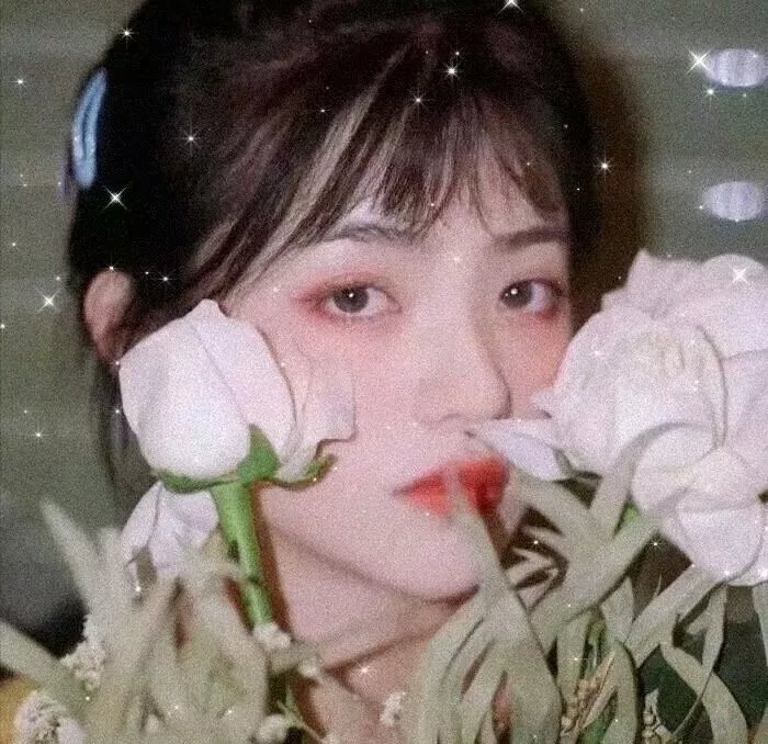 特战行动